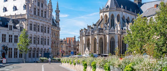 Self guided tour with interactive city game of Leuven